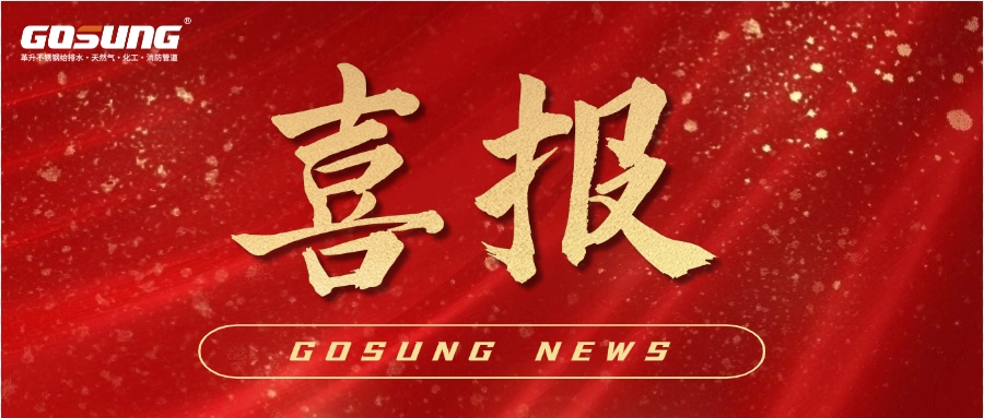 GOSUNG资讯 | 再攀高峰！荣耀登榜2025年度省级